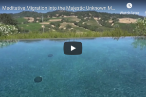 Meditative Migration into the Majestic Unknown Montage