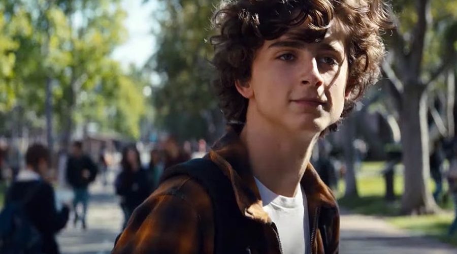 ‘Beautiful Boy’ Teaser: Timothée Chalamet Struggles As A Hardcore Drug Addict